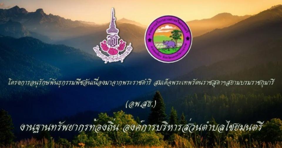 �ç���͹��ѡ��ѹ�ء����ת�ѹ���ͧ�Ҩҡ����Ҫ���� 